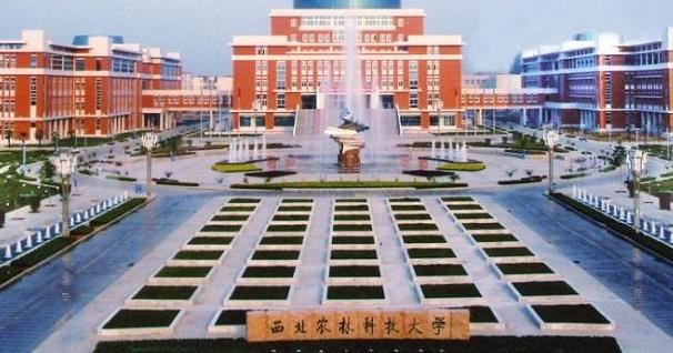 22考研必看!西北農林科技大學2020各專業報錄比