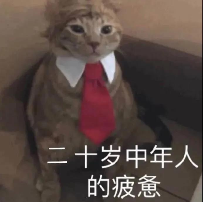 22考研湯家鳳暑期強化課_學霸原來都是這樣復習的